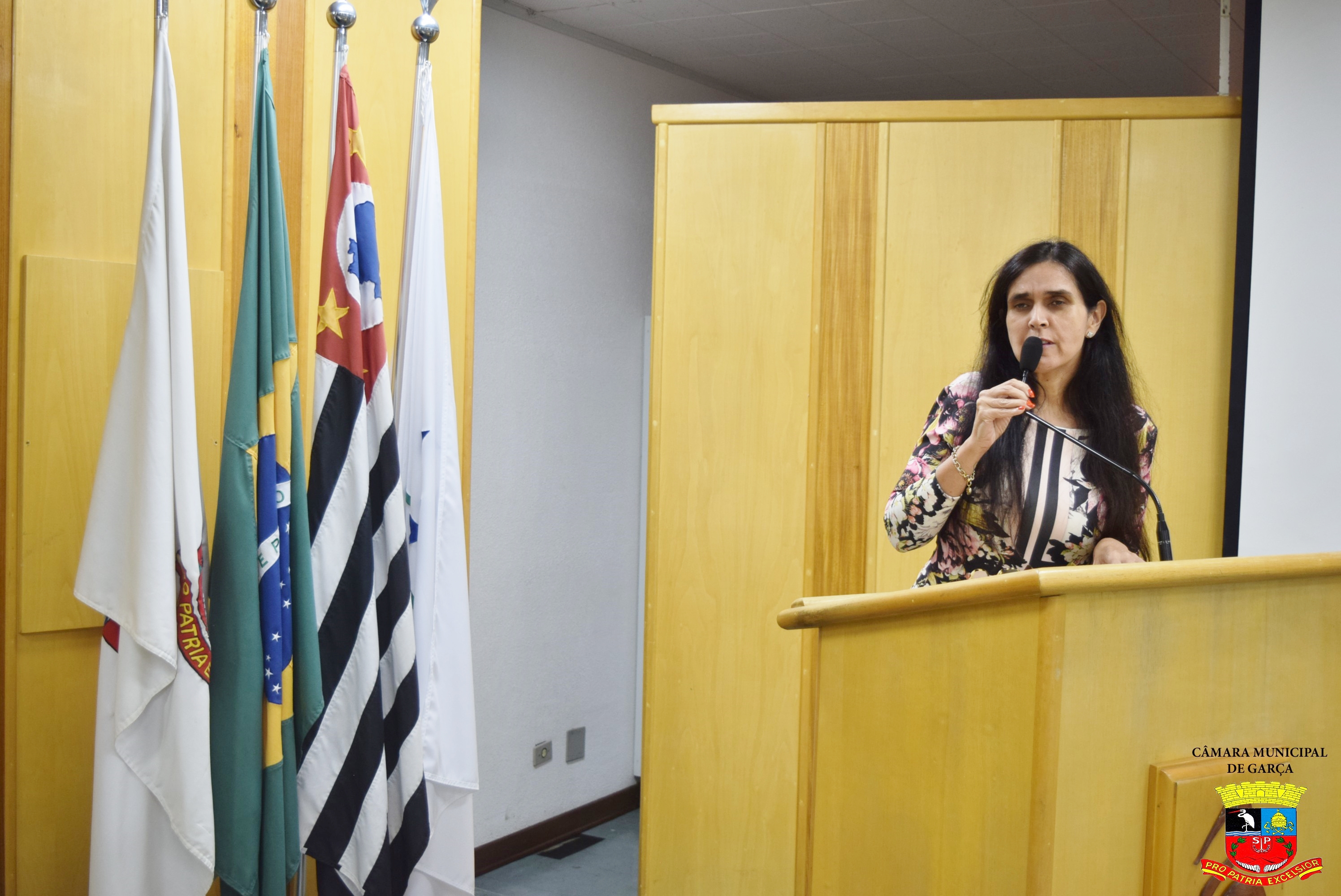 Cidadão Benemérito - Sr. João Vizotto (15).jpg