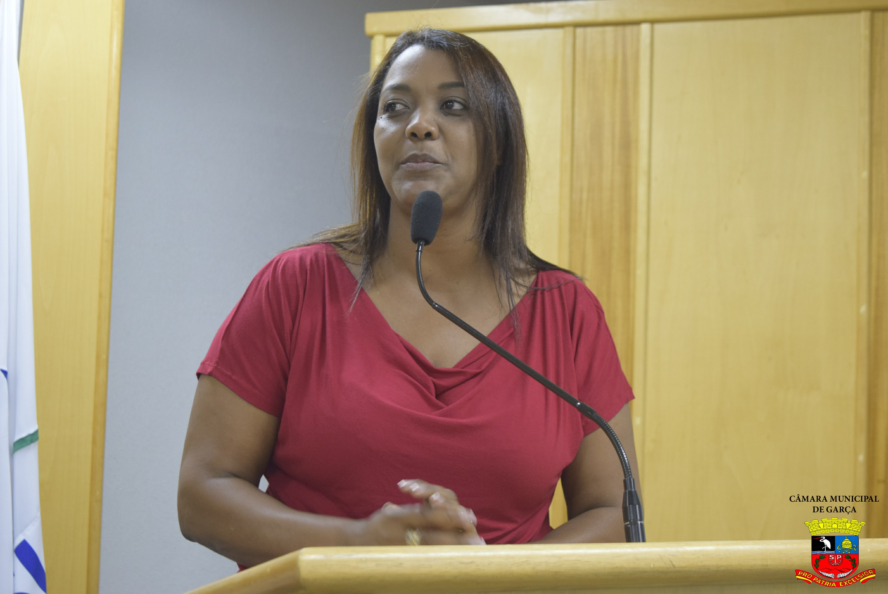 Entrega da Comenda Zumbi dos Palmares (39).jpg