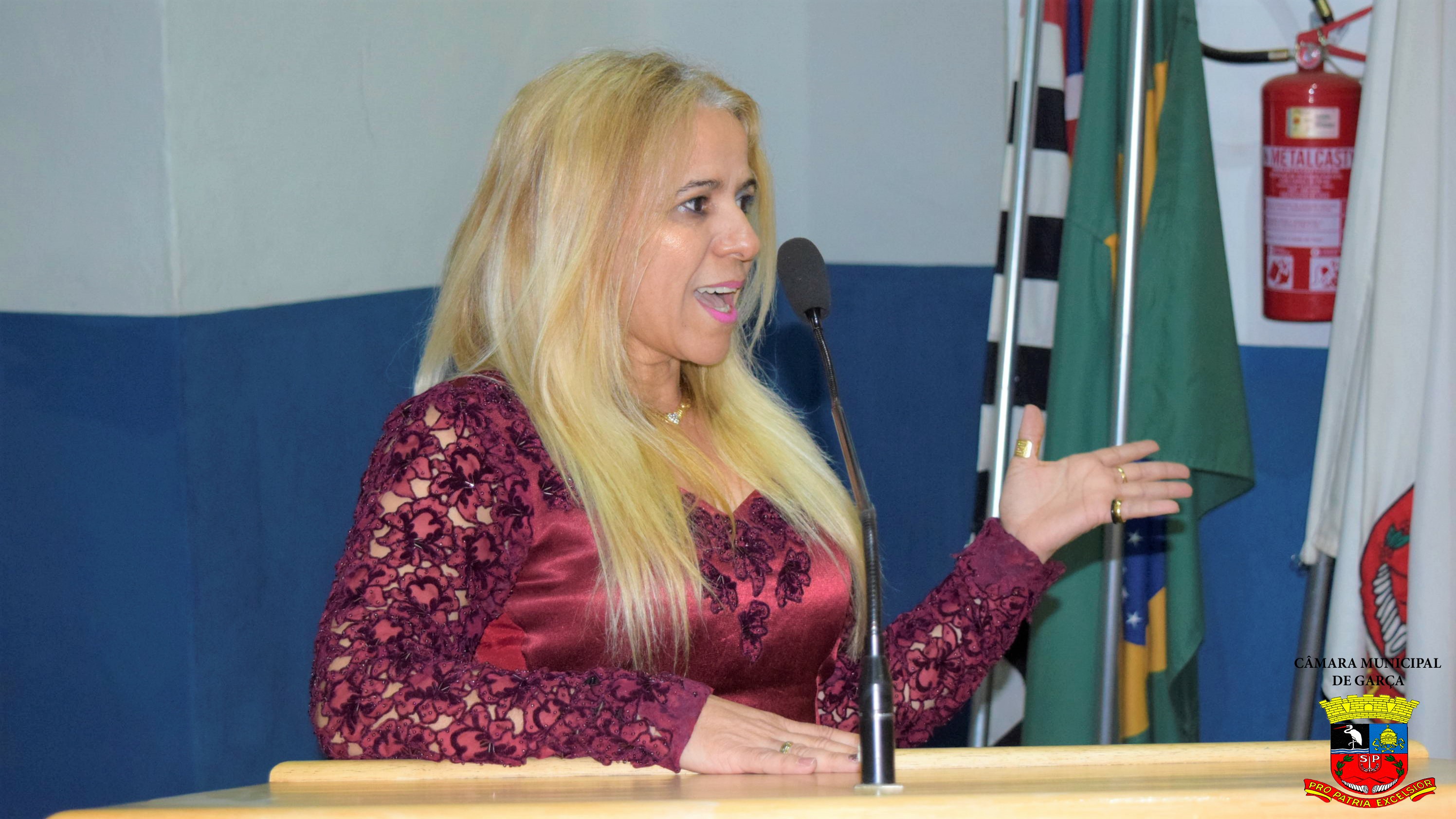 Comenda Municipal do Mérito Zumbi dos Palmares a Sra. Ângela Tucilo (19).jpg