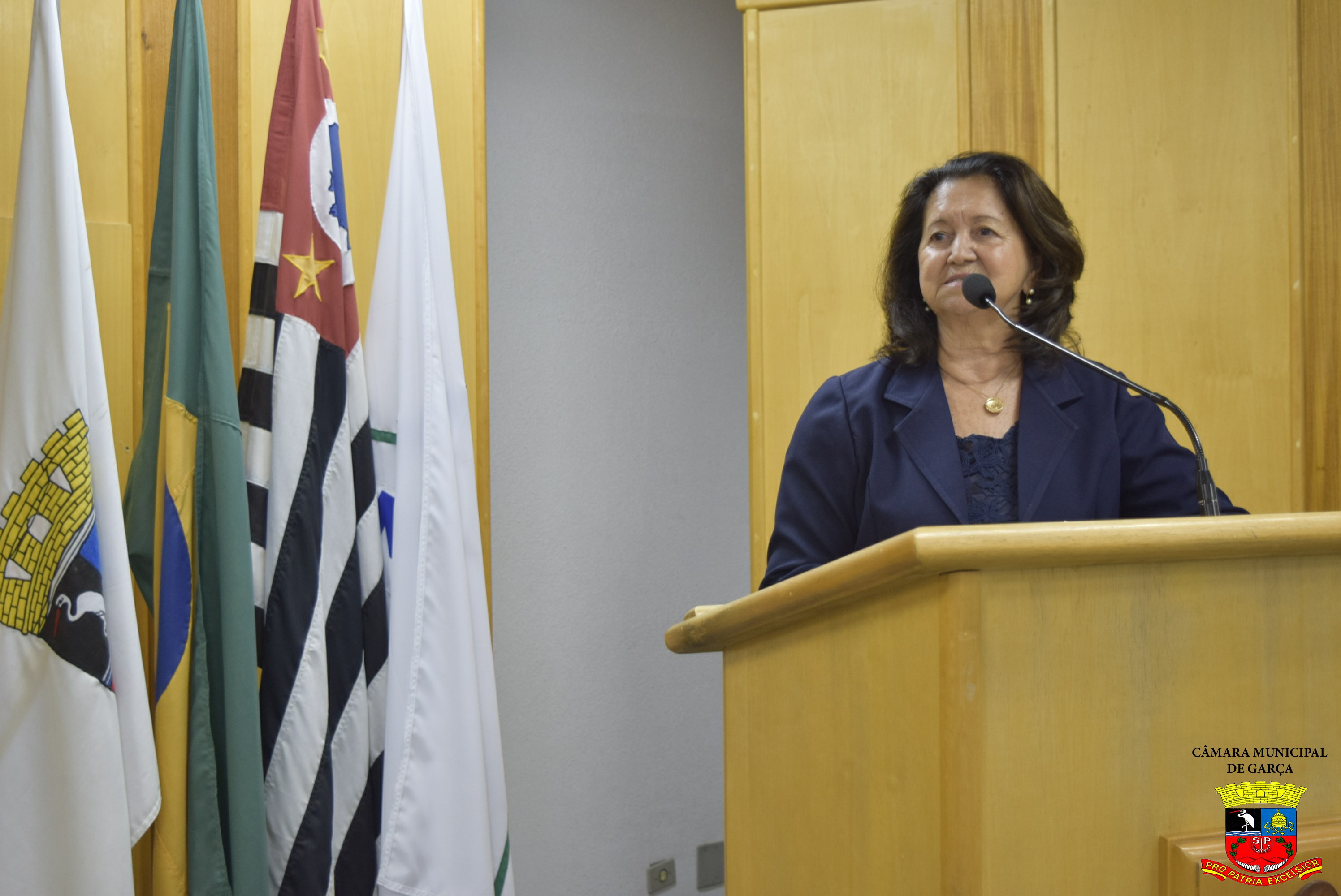 Dia do Rotariano 2018 (19).jpg