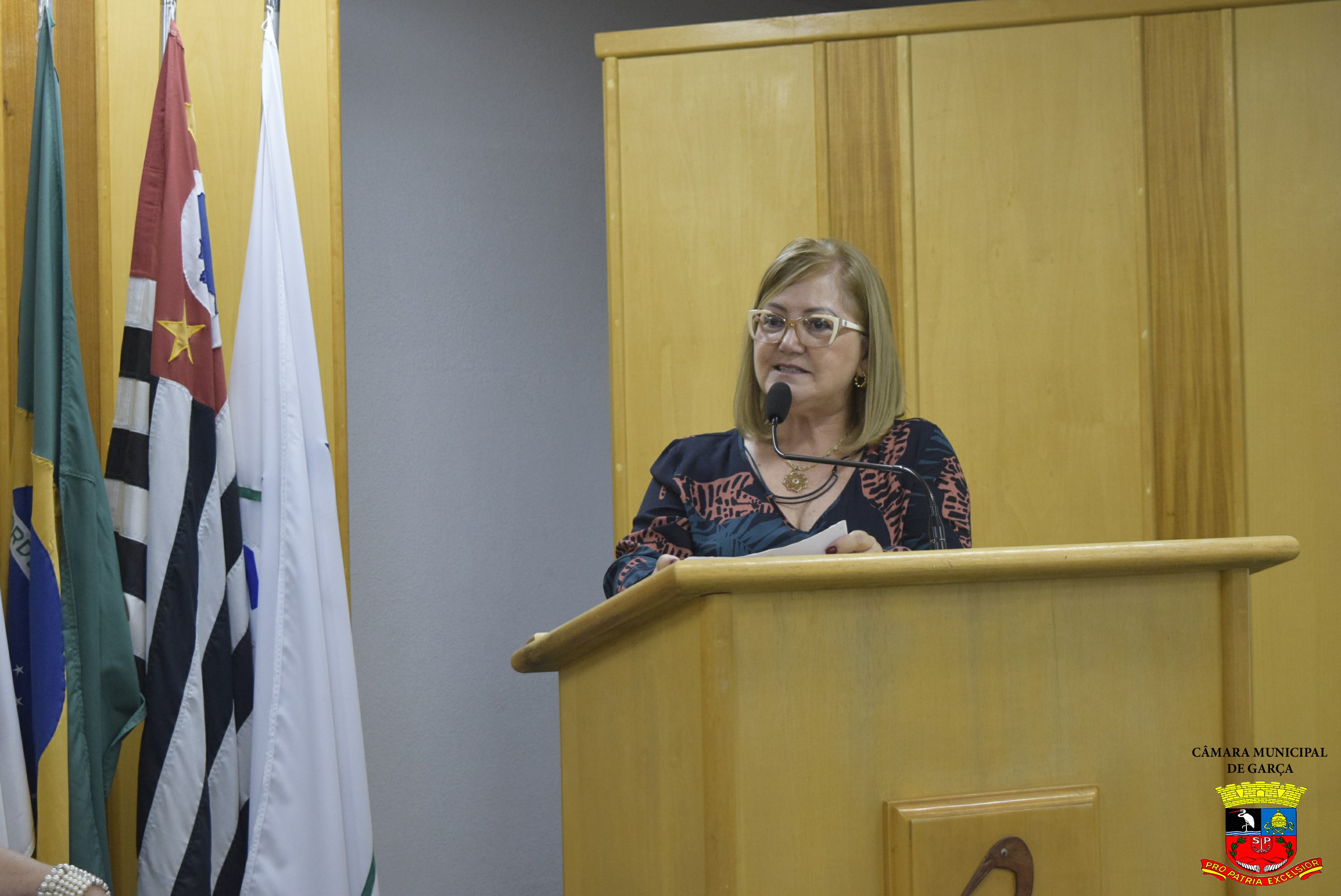 Título Cidadã Benemérita a Sra. Maria Regina Pereira de Araújo (01).jpg