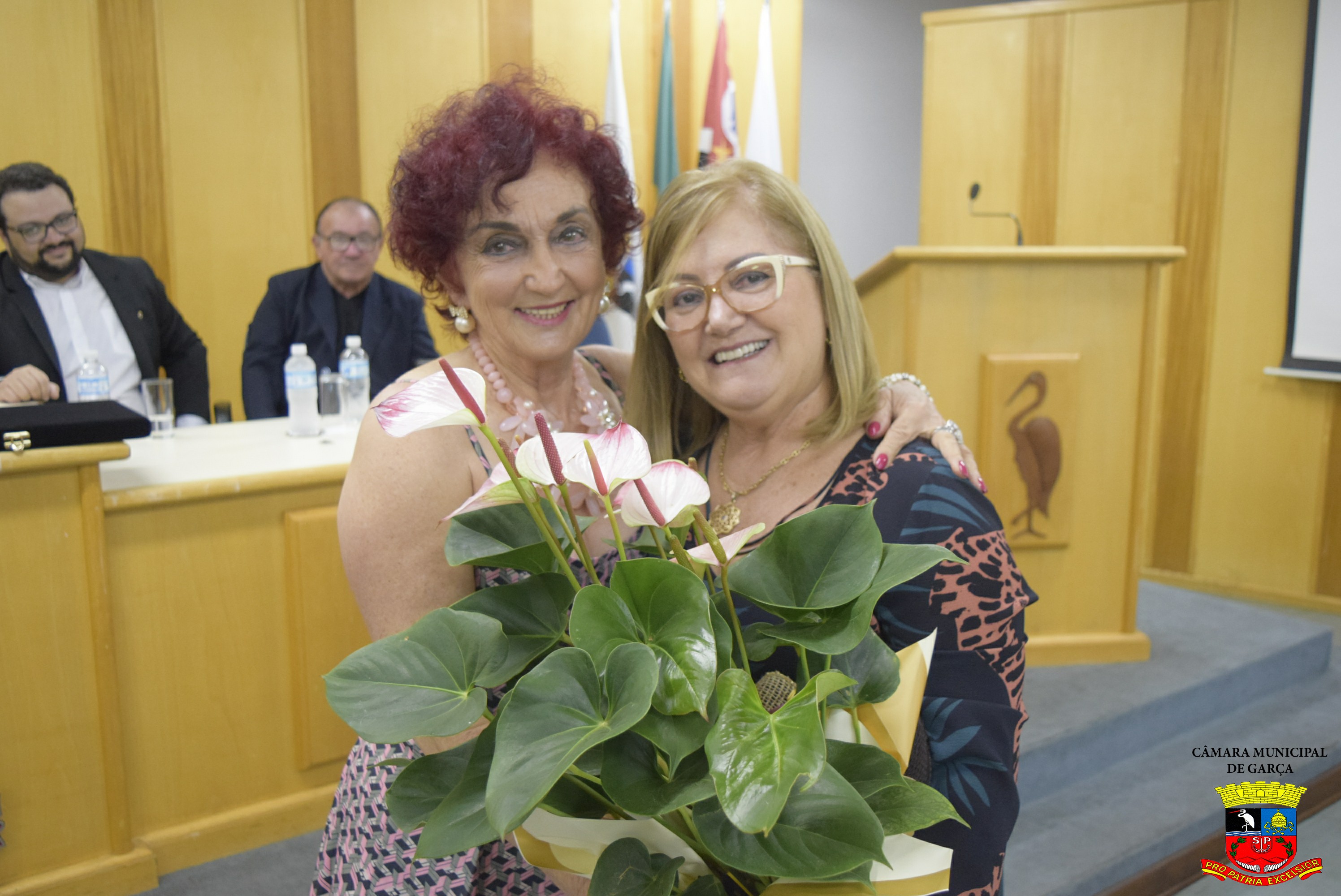 Título Cidadã Benemérita a Sra. Maria Regina Pereira de Araújo (22).jpg