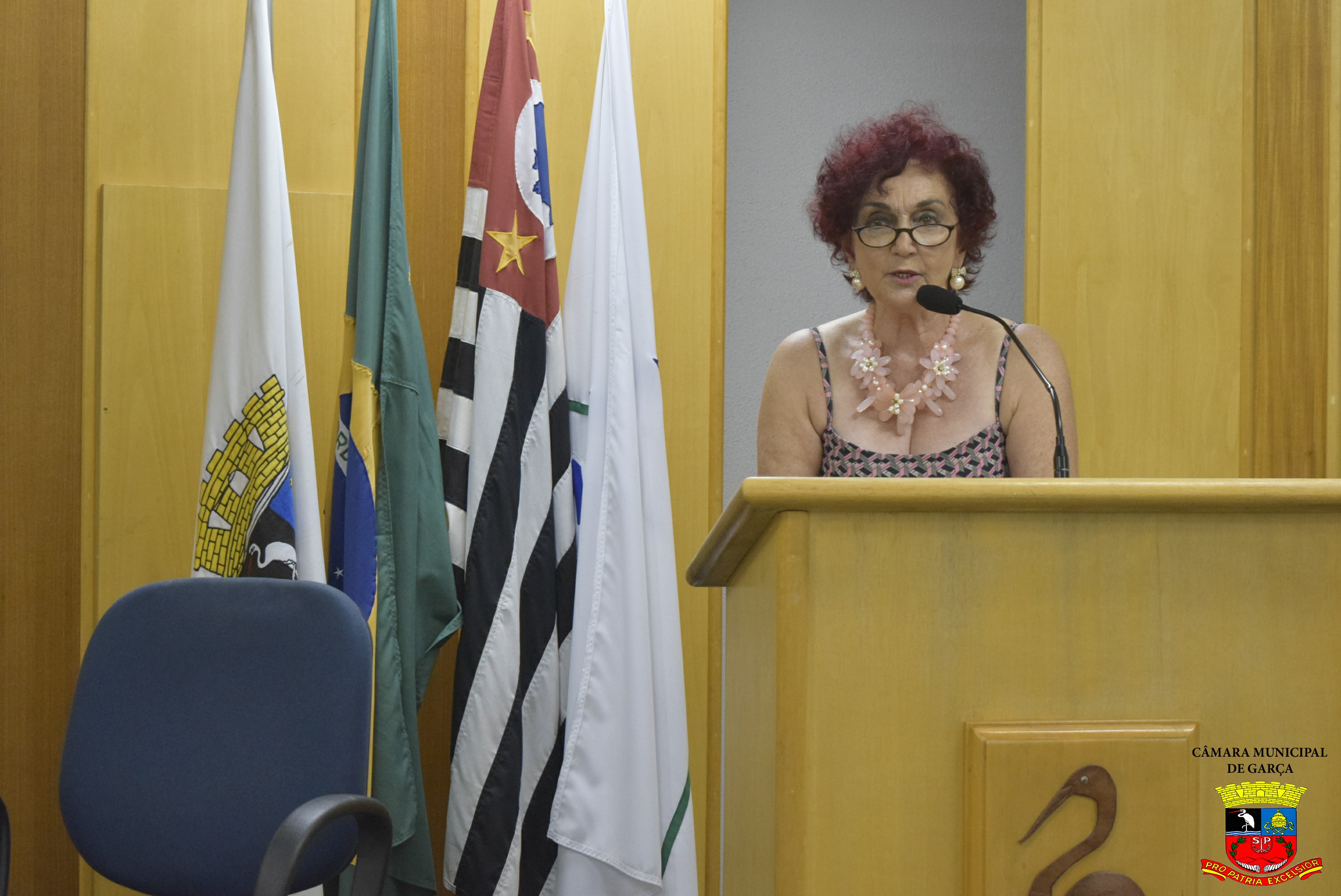 Título Cidadã Benemérita a Sra. Maria Regina Pereira de Araújo (38).jpg