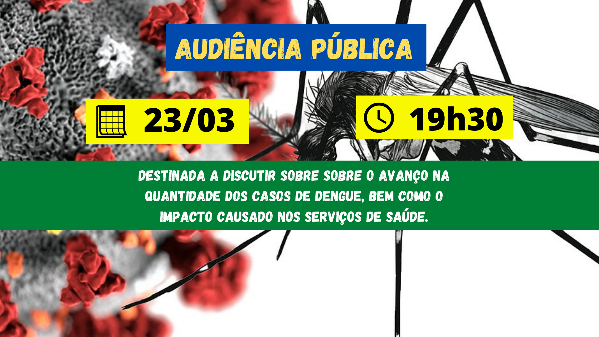 Audiência Pública