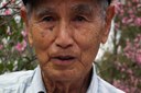Faleceu o "Seu" Nelson Koshe Ichisato, o Pai das Cerejeiras, aos 99 anos de idade.
